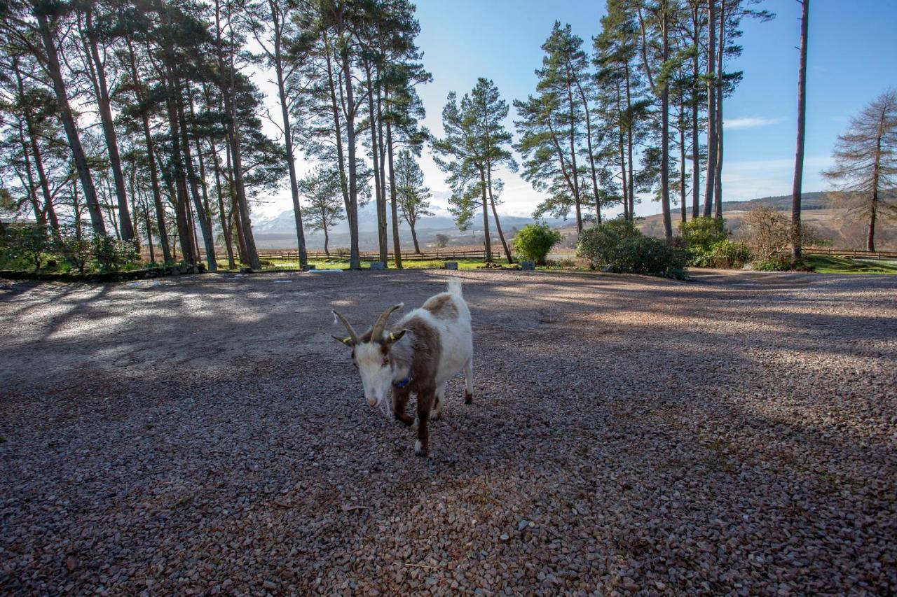 Old Pines Hotel And Restaurant Spean Bridge Luaran gambar